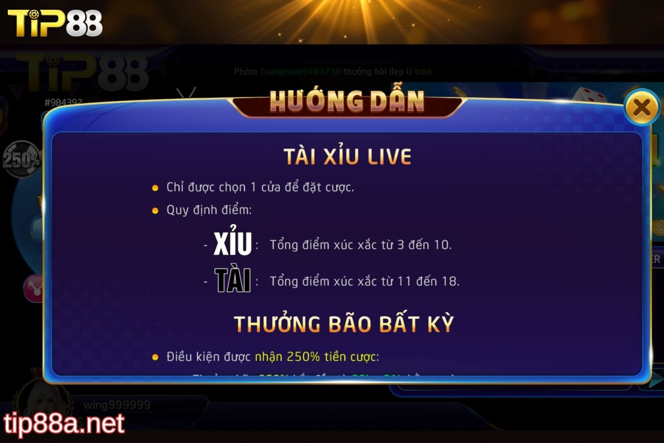 Hướng dẫn cách chơi tài xỉu Tip88