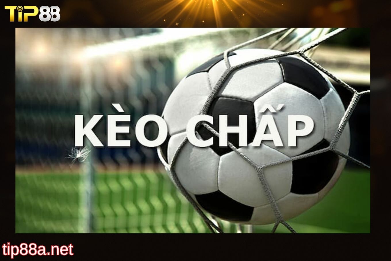 Khám phá khái niệm kèo chấp tại Tip88