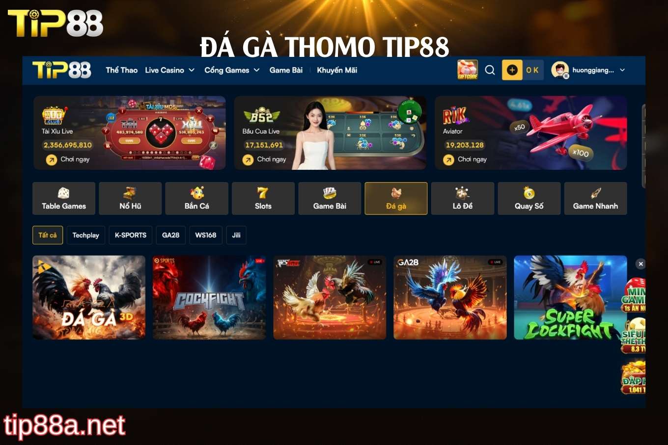 Cách tham gia đá gà thomo