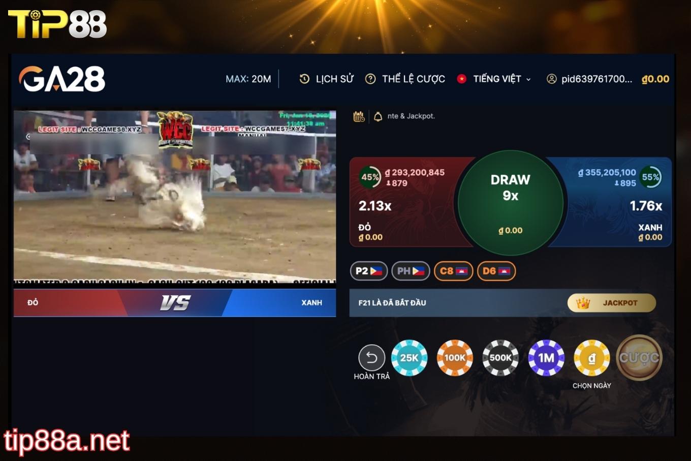 Kinh nghiệm cược đá gà Thomo dễ thắng